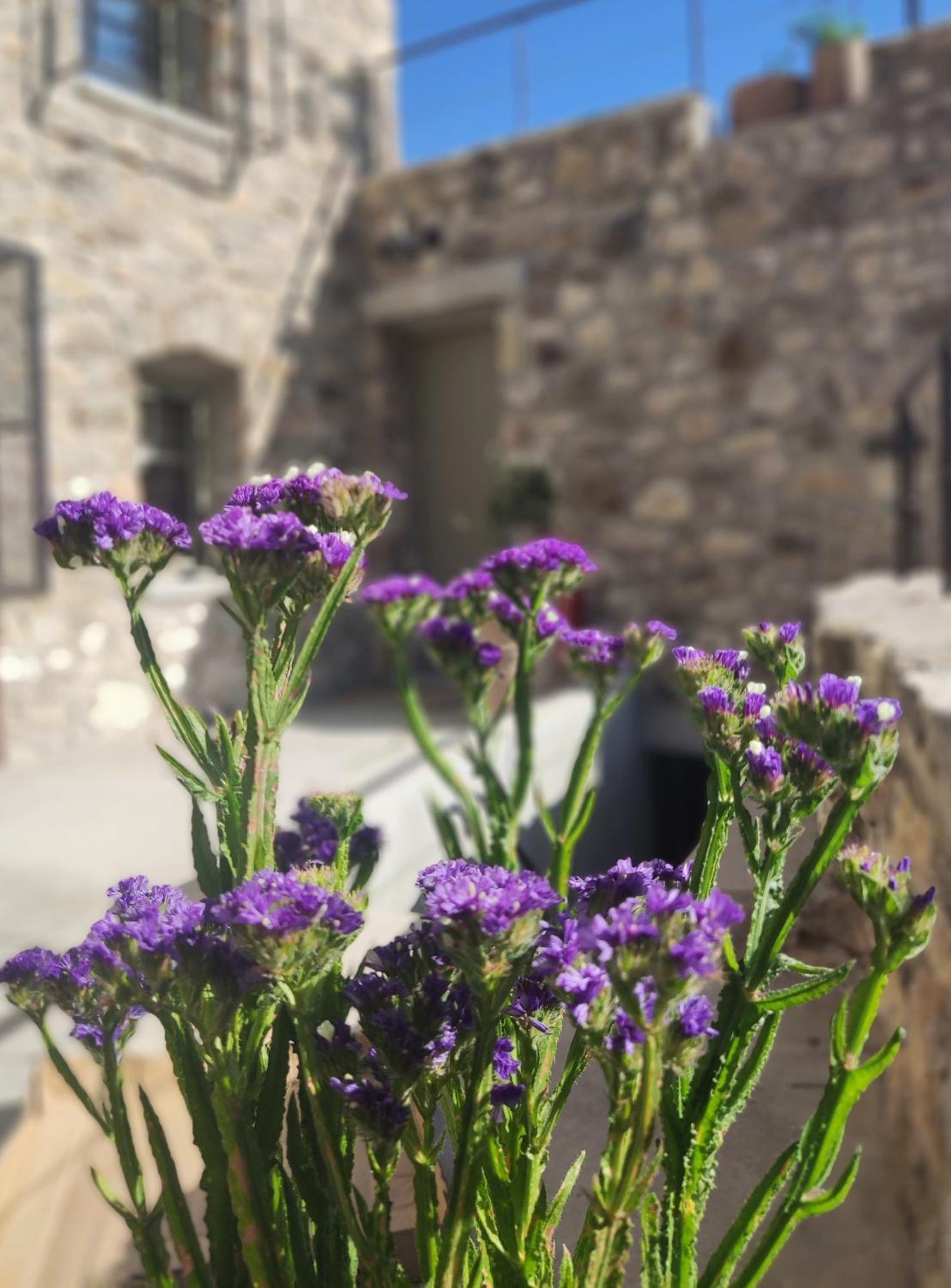 Pyrgi Cretan Living & Spa Pirgos  Bagian luar foto