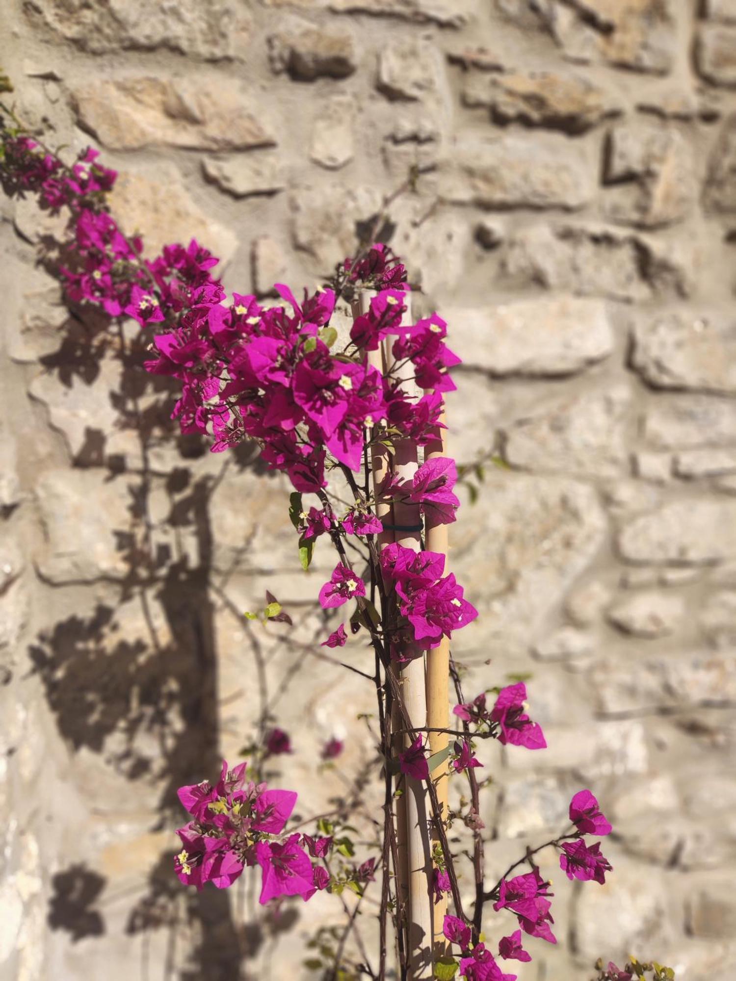 Pyrgi Cretan Living & Spa Pirgos  Bagian luar foto